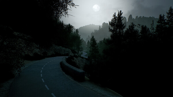 CarX Rally screenshot 6