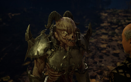 Скриншот из The Secret of Velmora
