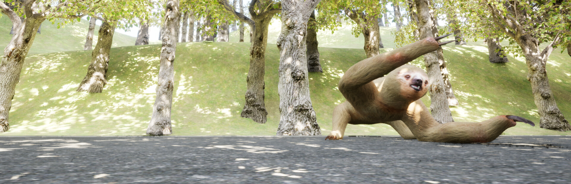 Go! Sloth