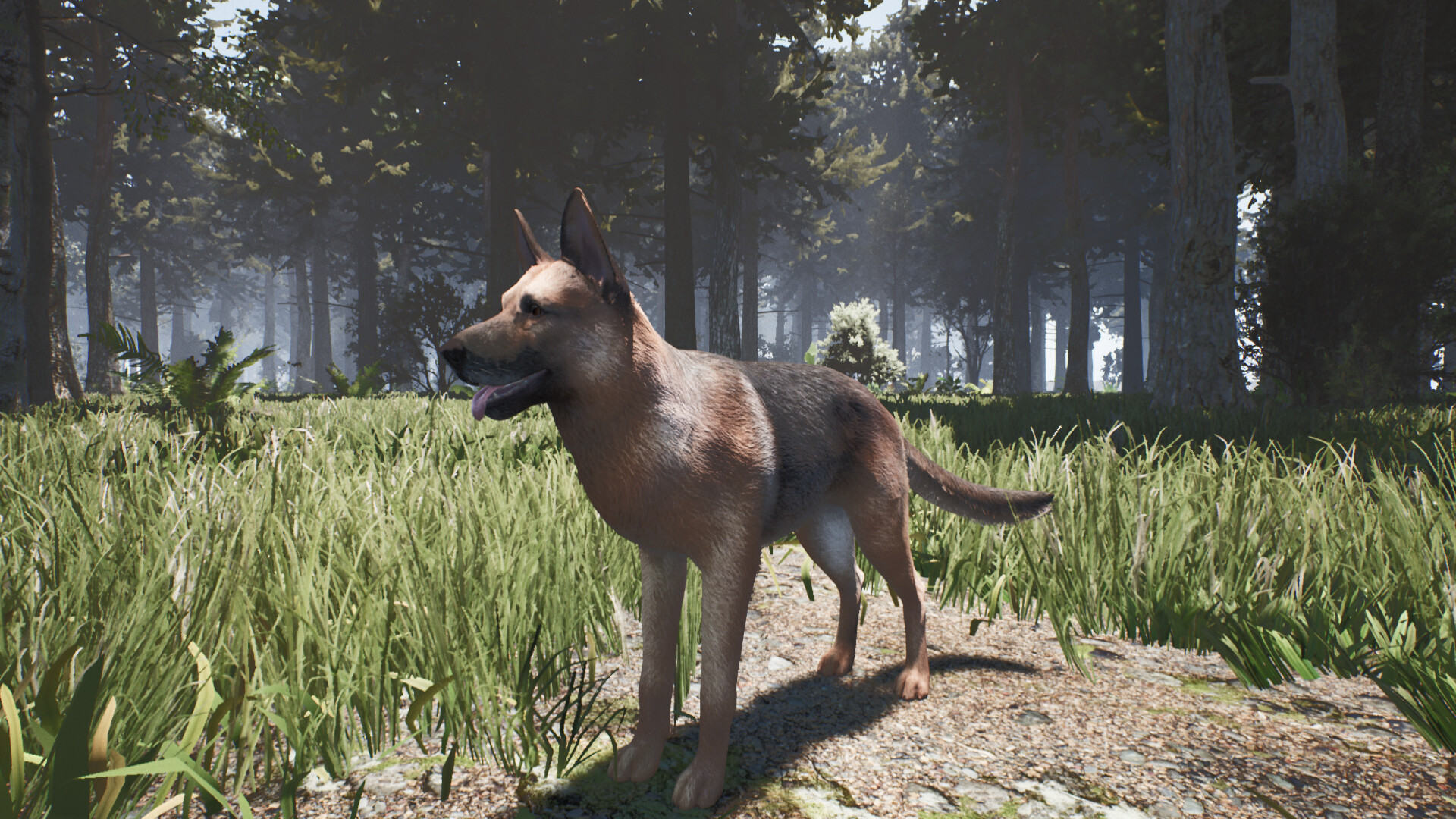 Alone on the Lost Isle screenshot #7