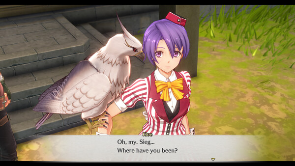 Trails in the Sky 1st Chapter - Fine Red Diner Costume Set Vol. 2