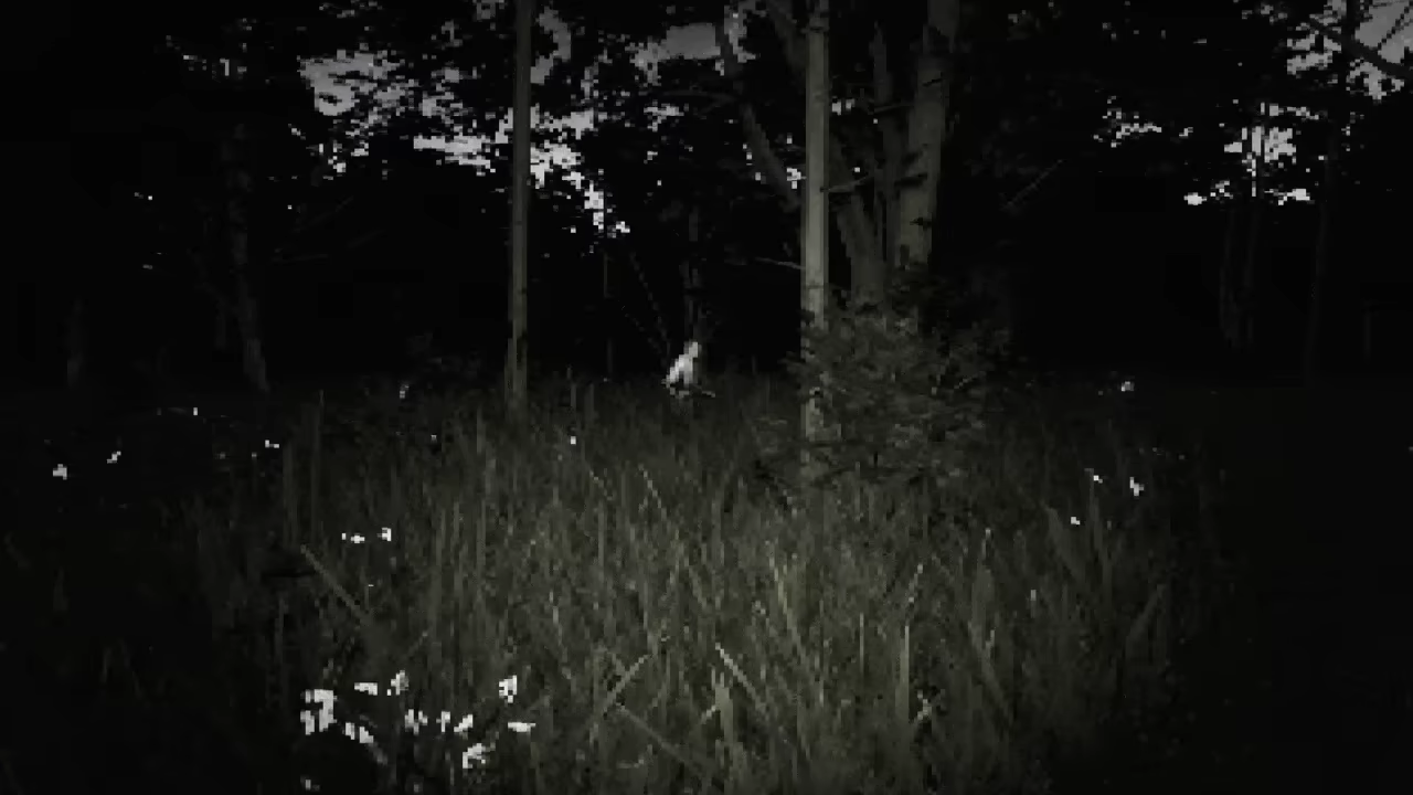 Dick Shortson. The Detective. video 1