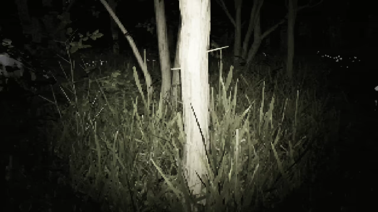 Dick Shortson. The Detective. video 2