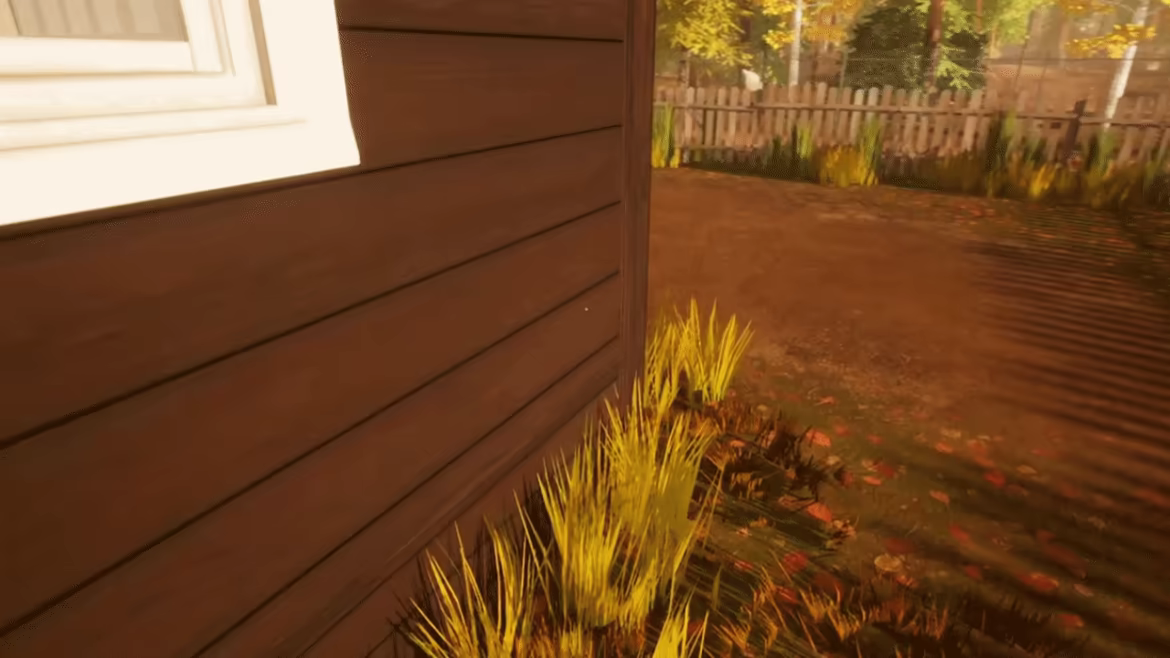 The Bright Future Village video 3