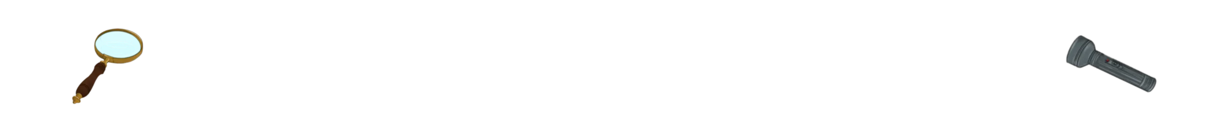 Accessible Experience