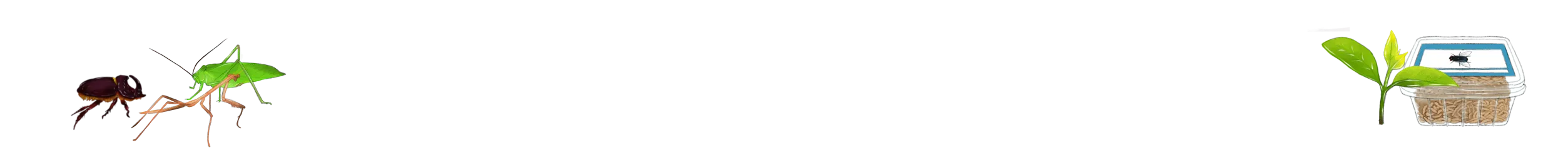 Collect and feed
