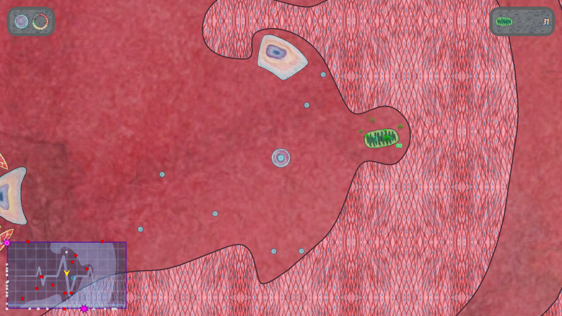 Steam Image
