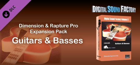 Digital Sound Factory - Vol. 8 - Guitars & Basses