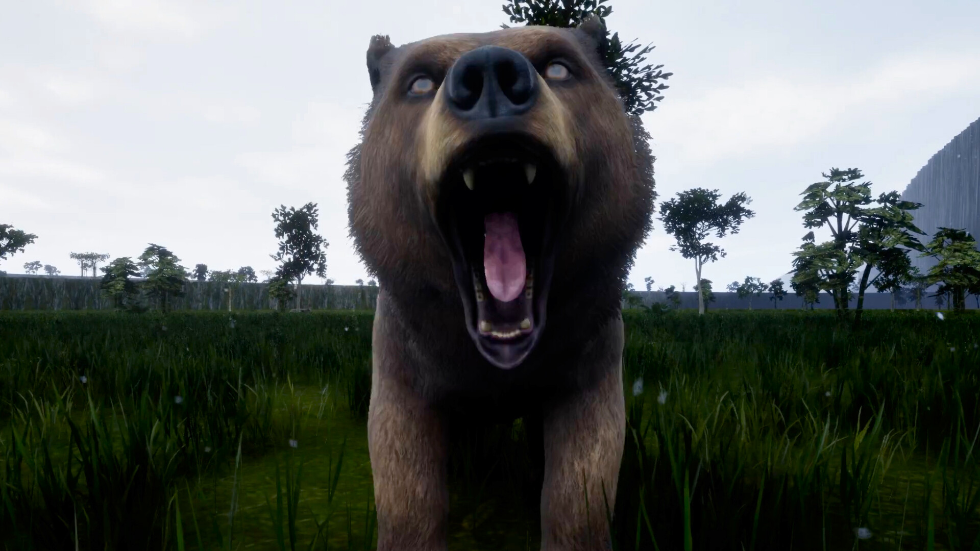 Before screenshot #12