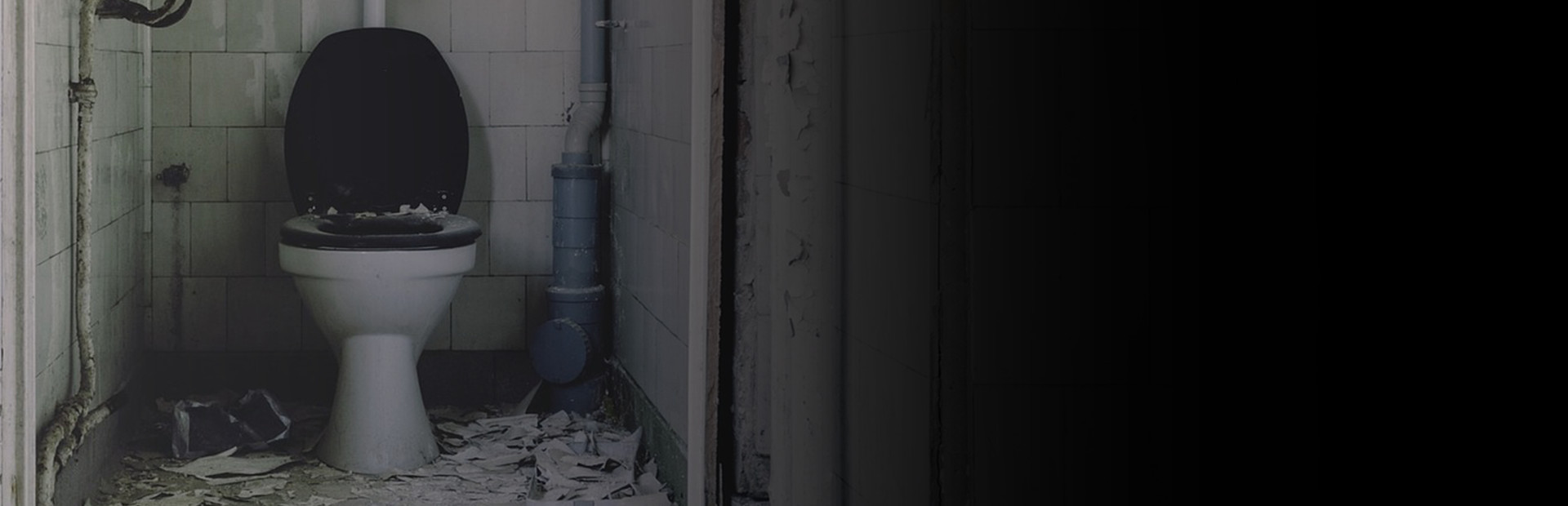 Toilet Tycoon