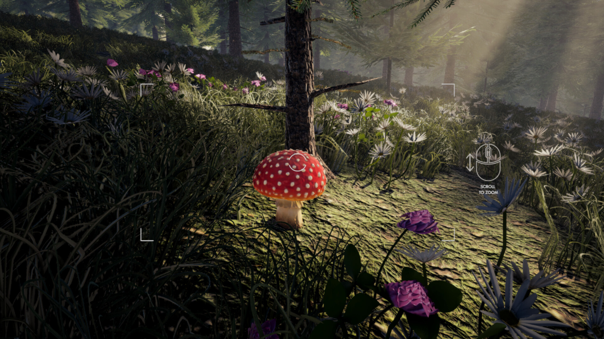 Forager's Finds screenshot #2