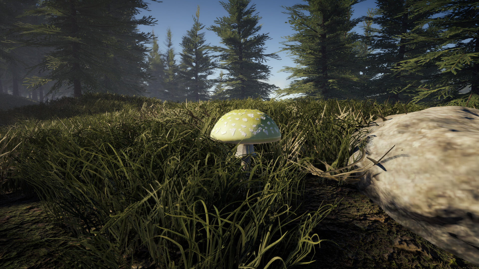 Forager's Finds screenshot #9