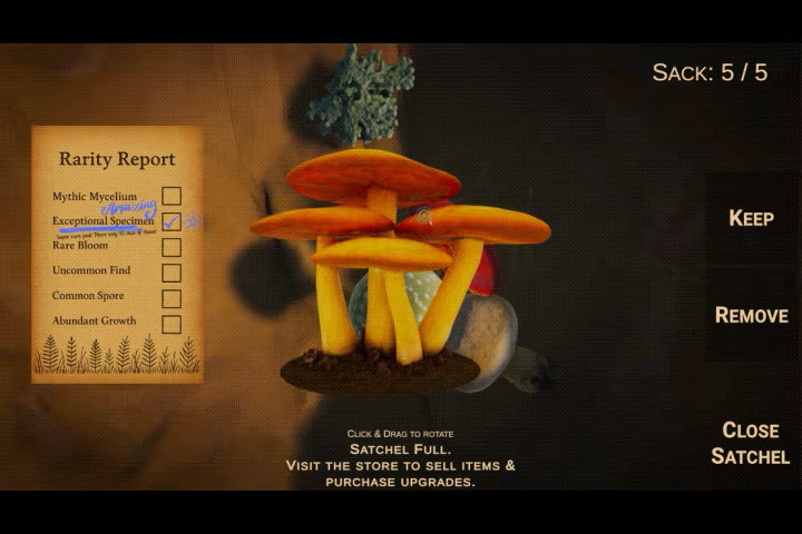 Forager's Finds video 3