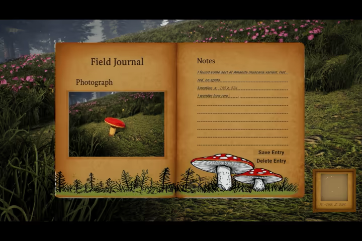 Forager's Finds video 4