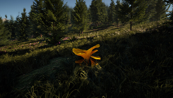 Screenshot of Forager's Finds gameplay showing in-action mechanics