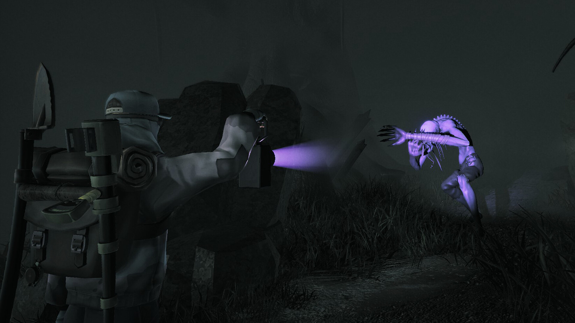 Treasure Cove screenshot 4