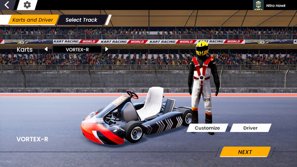 Скриншот из Kart Racing World