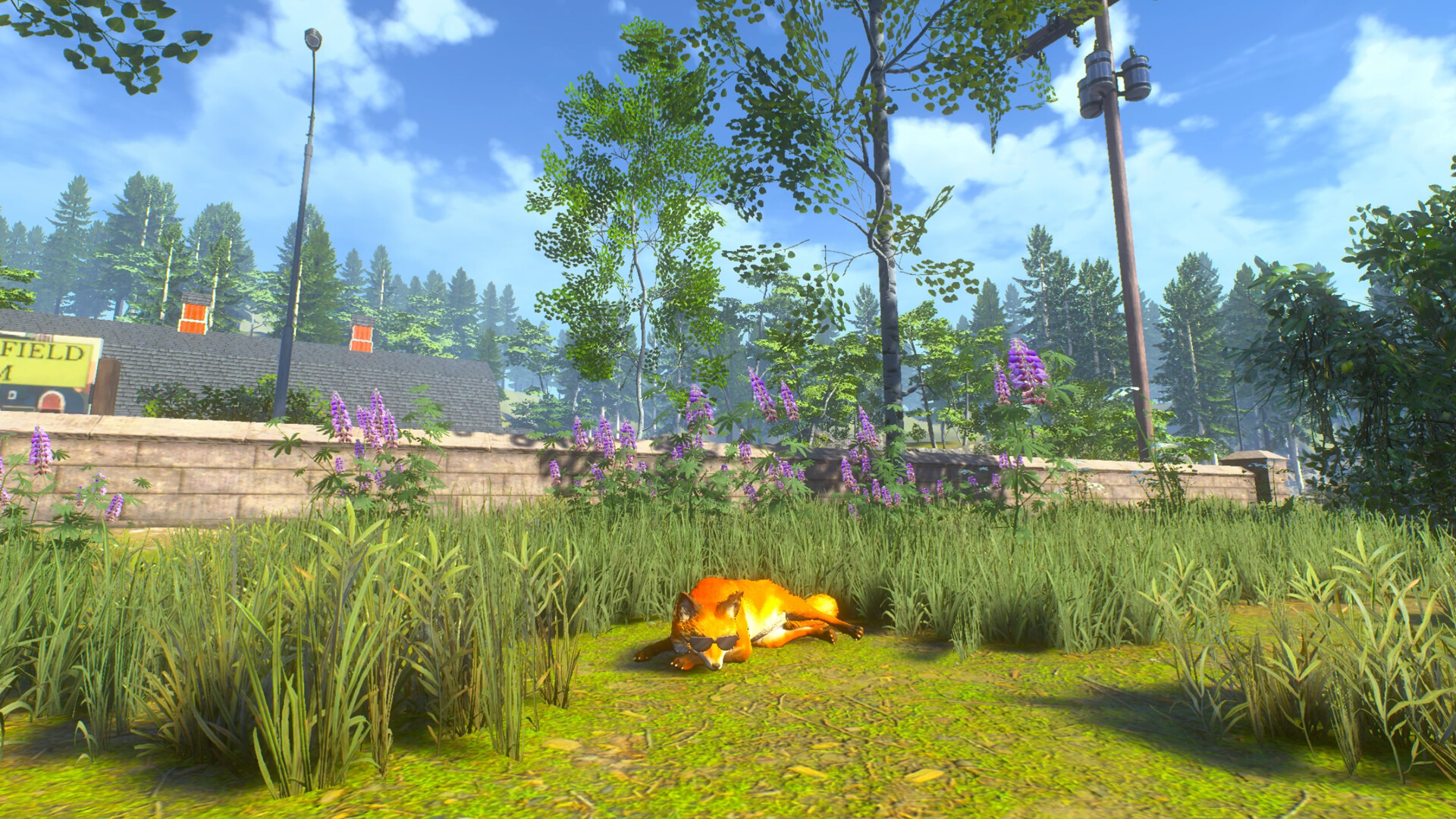 #7. Chill Fox (Steam) De: Xelo Games
