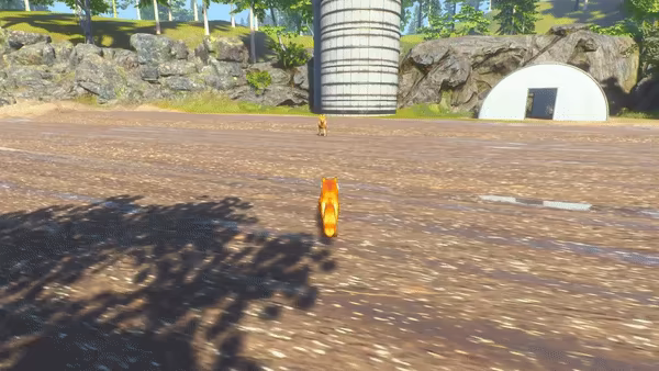 Chill Fox video 1
