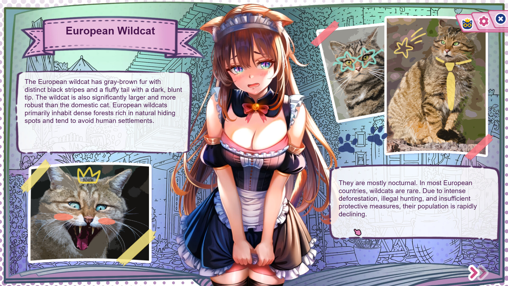 Nekopedia: Find Her Tail screenshot #4