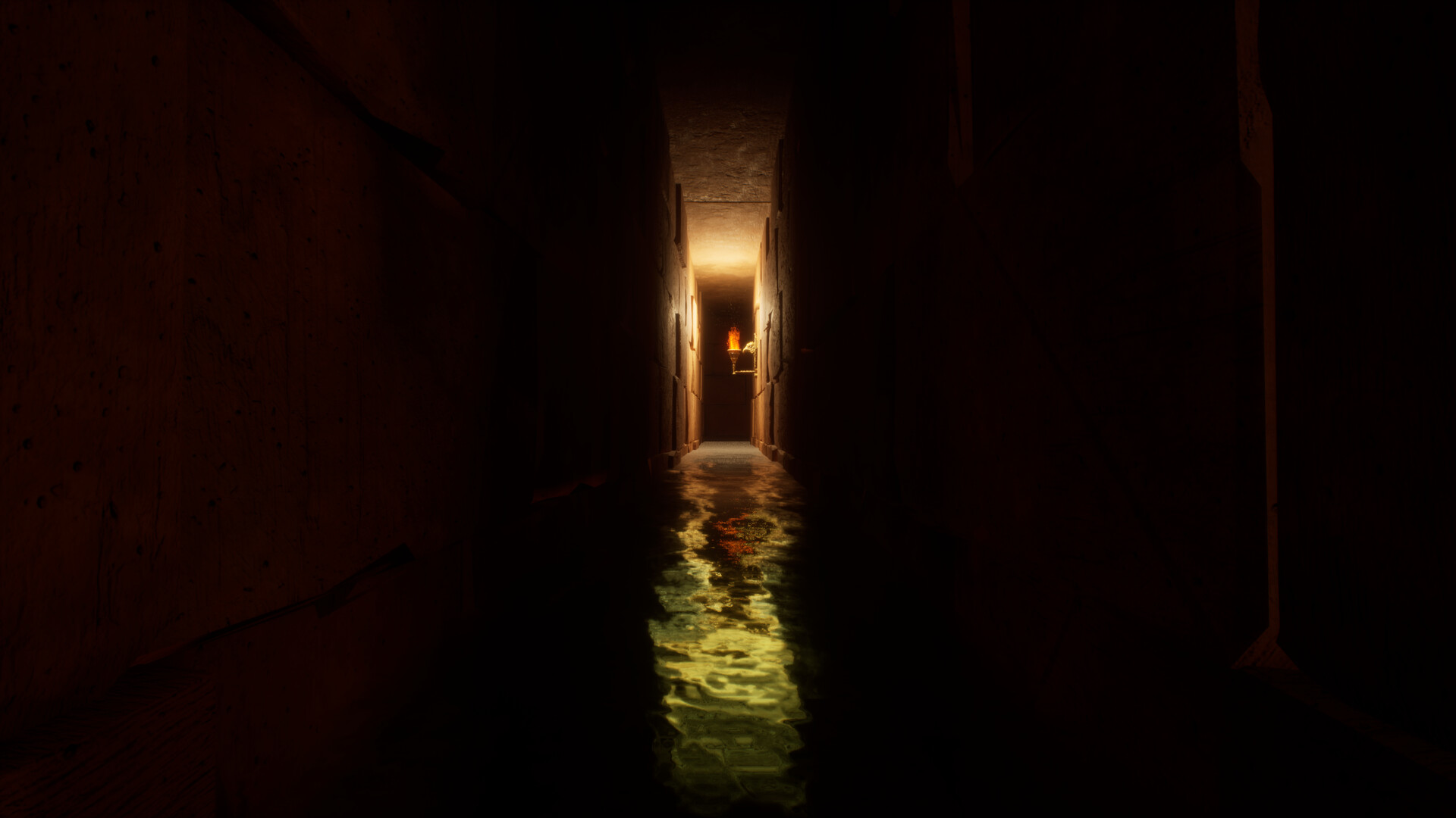 Anubria screenshot 15