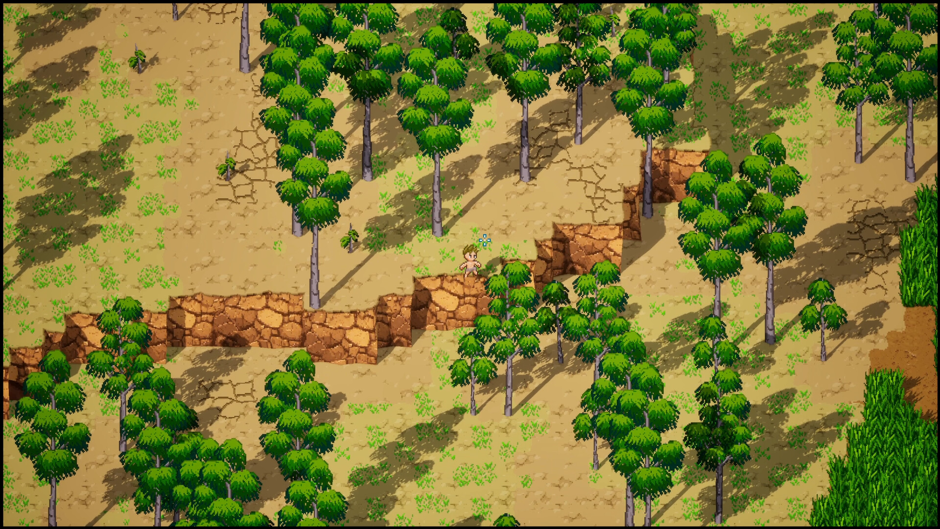 Elacoria screenshot #6