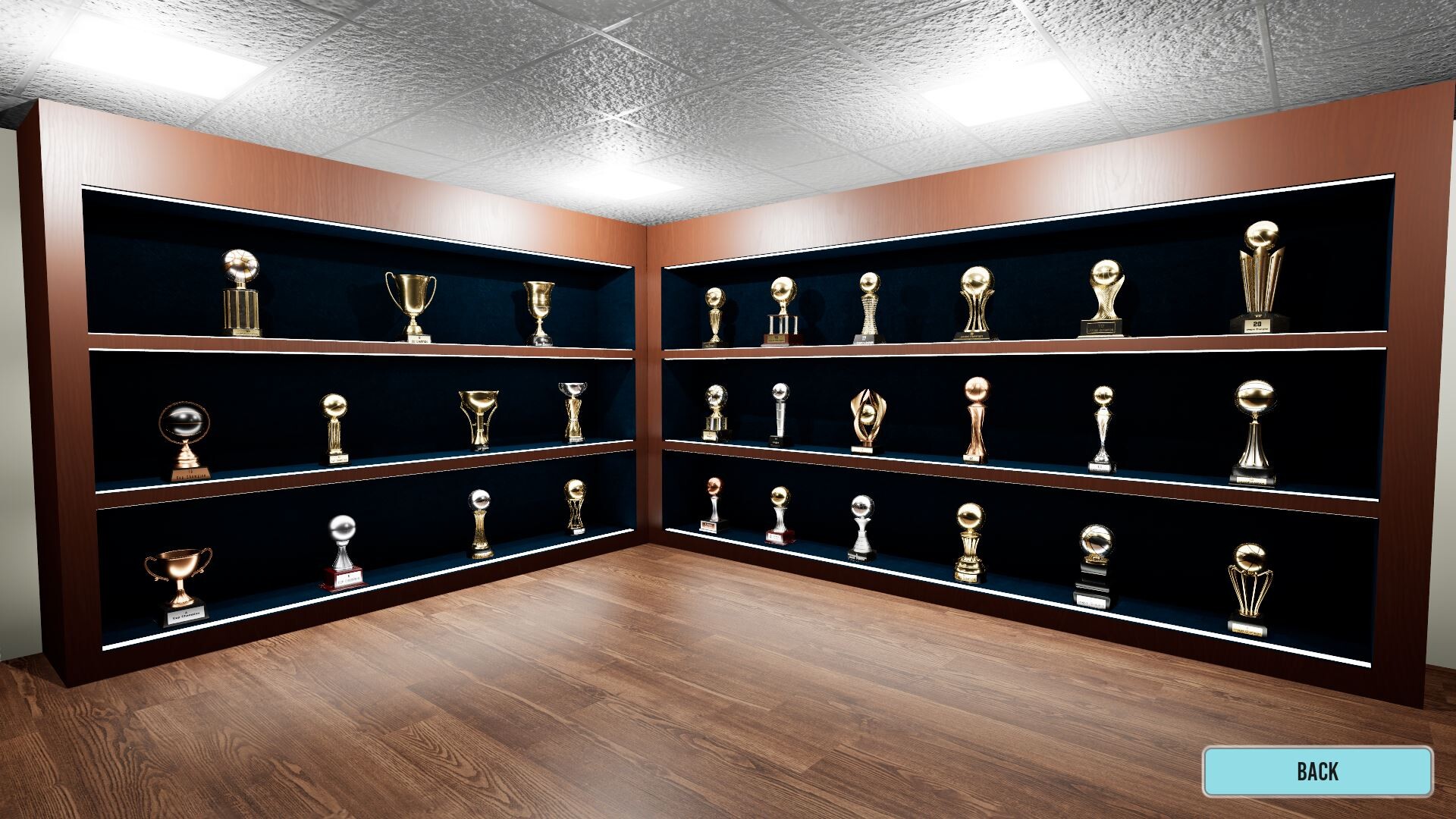 BasketBlow screenshot #8