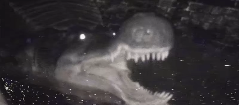 Dragged Deep video 2