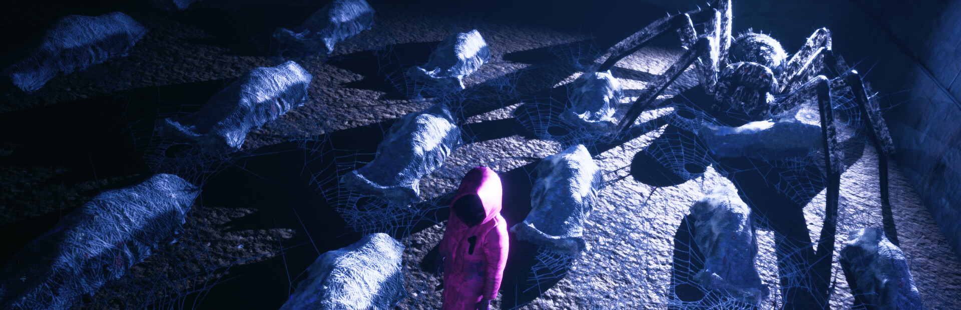 Spider Maze