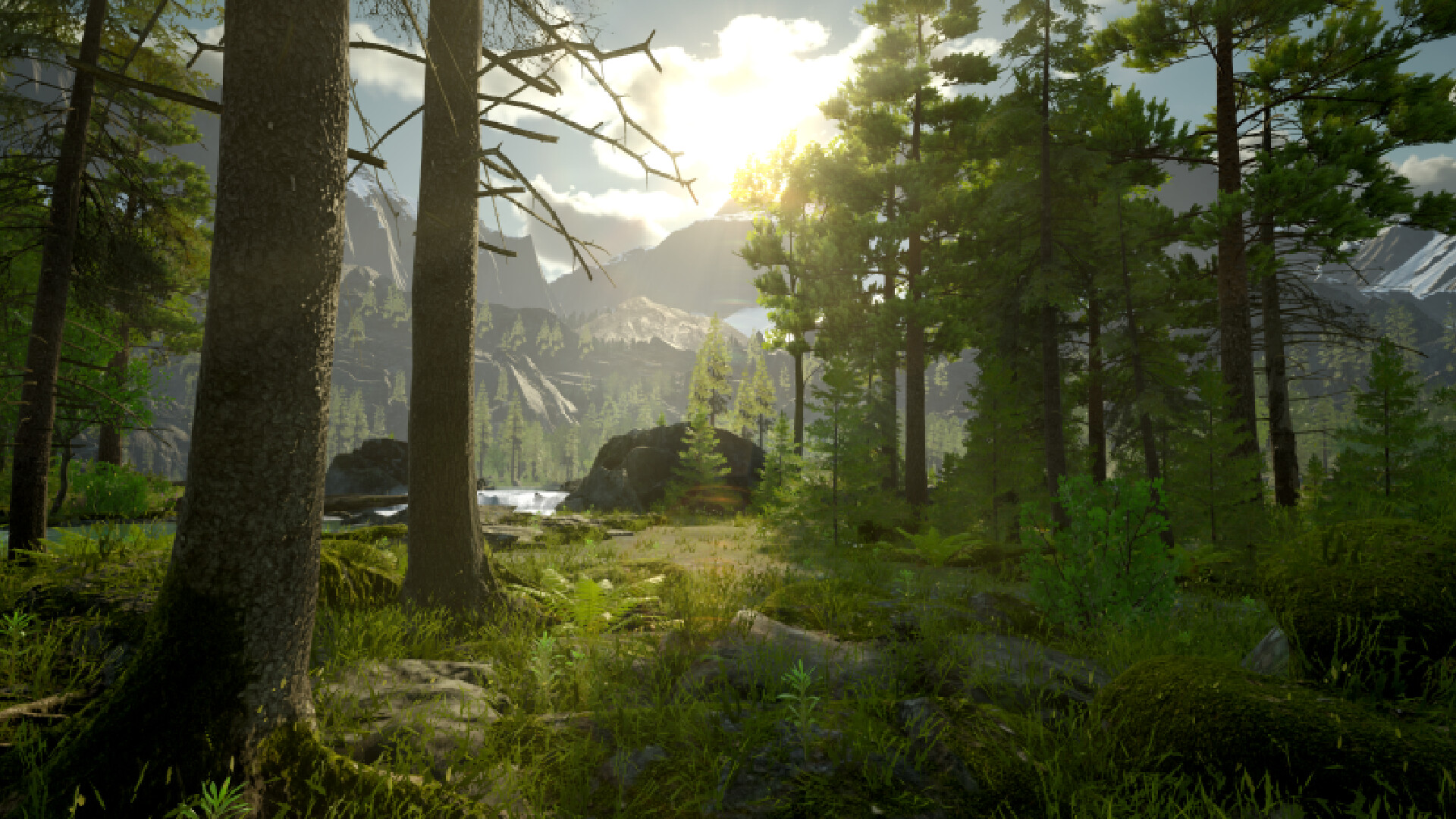 Stout Kayak screenshot 15