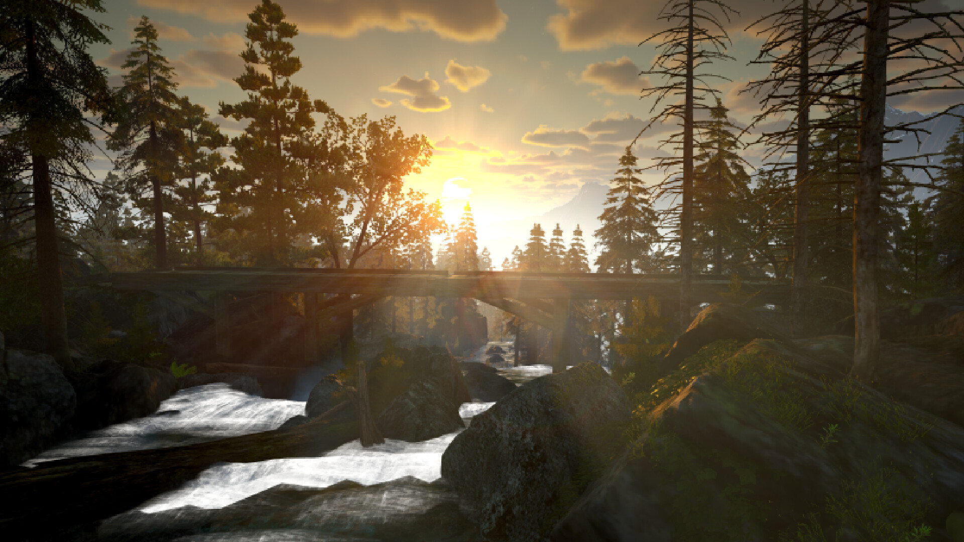 Stout Kayak screenshot 12