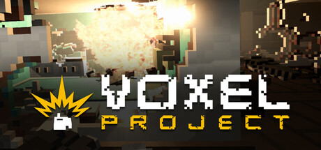 Voxel Project VR Playtest game cover