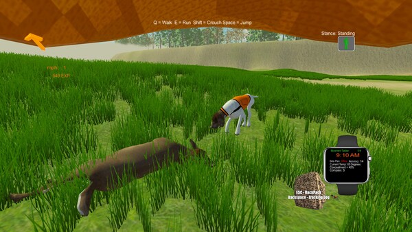 Deer Hunting - The Season Tracking Dog