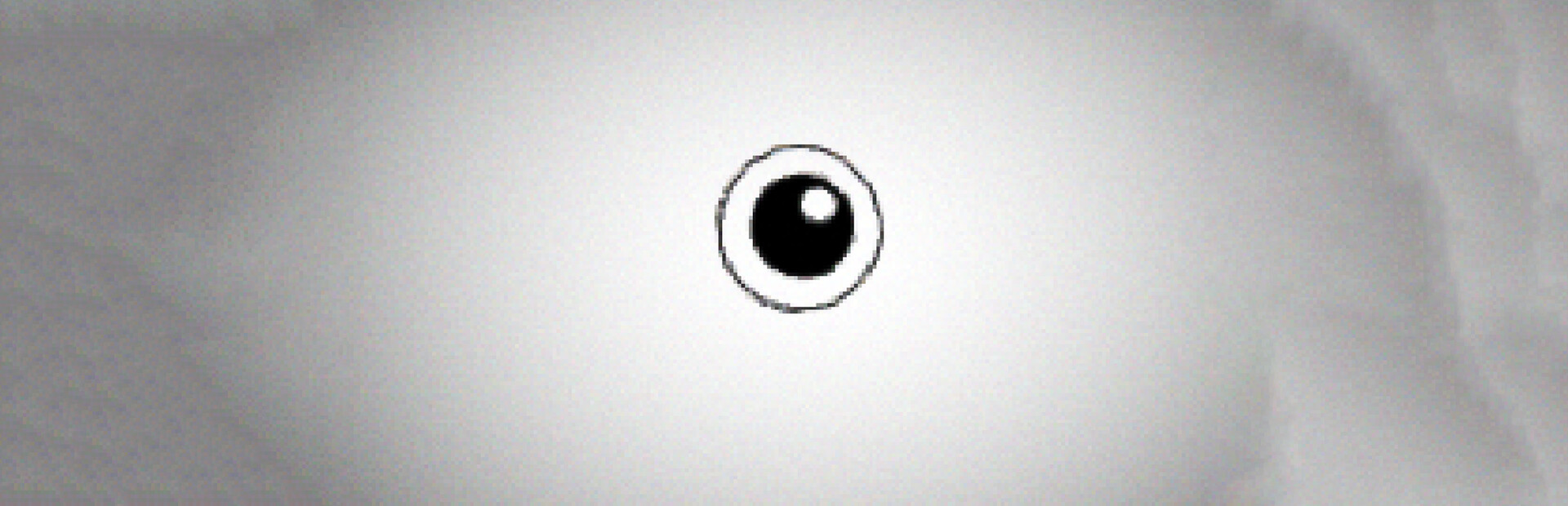 blank_01