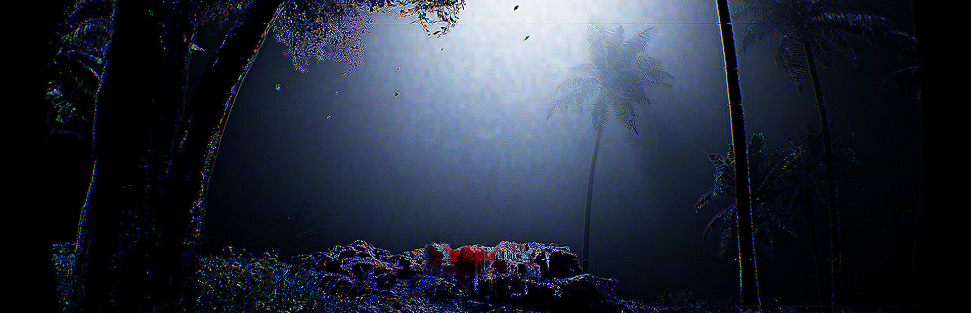 Killer Island