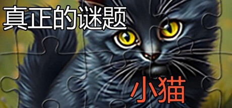 真实拼图 - 小猫