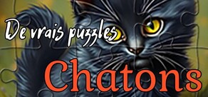 Puzzles réels - Chatons