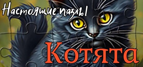 Обложка Настоящие пазлы - Котята