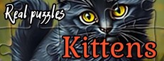 Real Puzzles - Kittens cover