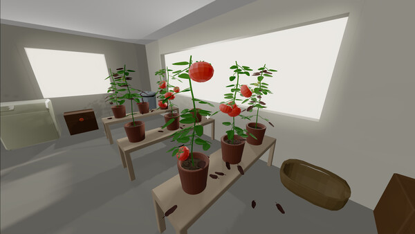 Tomato Dealer screenshot 2