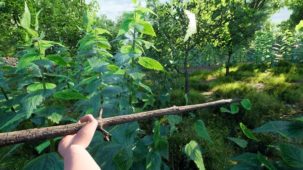 Nettle Slasher screenshot 4