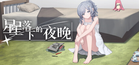 星星落下的夜晚