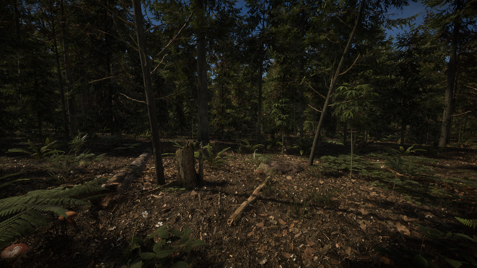 Forest of Lost Wanderers Featured Screenshot #1