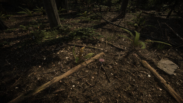 Forest of Lost Wanderers game for Linux 1