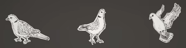 Pigeon Hunter video 3