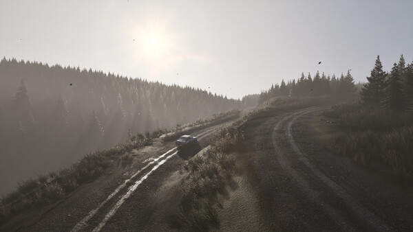 Скриншот из Assetto Corsa Rally Скриншот из Assetto Corsa Rally
