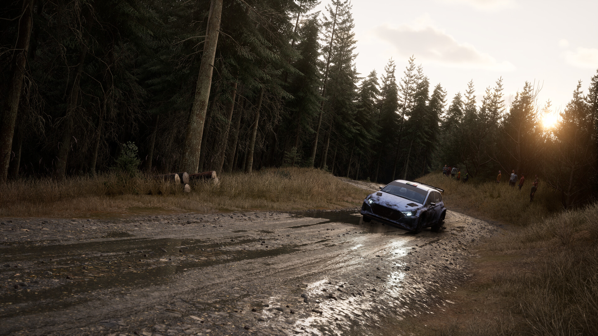 Assetto Corsa Rally