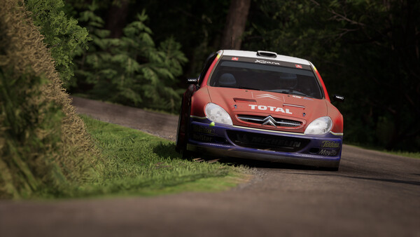 Assetto Corsa Rallyfor windows and Linux 1