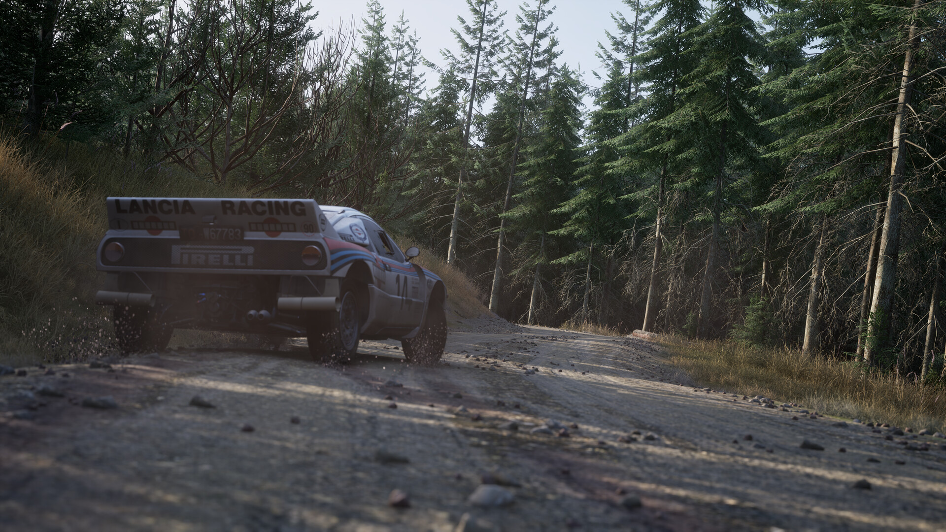 Assetto Corsa Rally