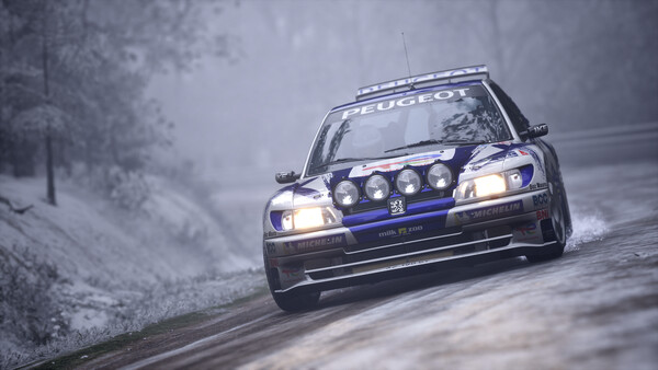 Assetto Corsa Rally Screenshot